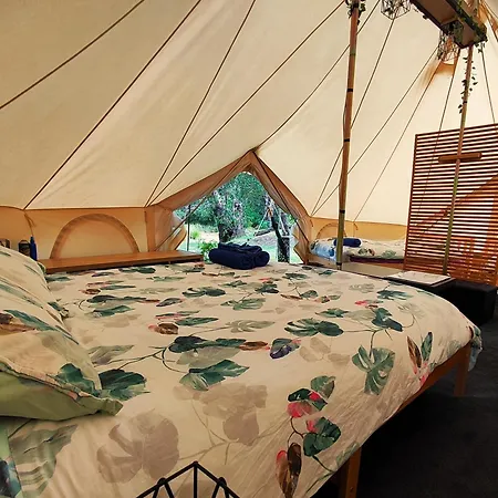 Glamping At Zeehan Bush Camp Exterior photo