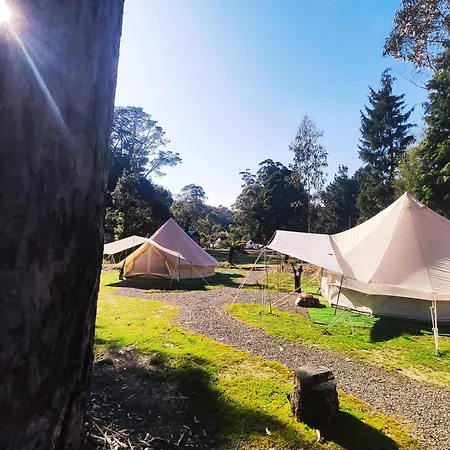 Glamping At Zeehan Bush Camp Exterior photo