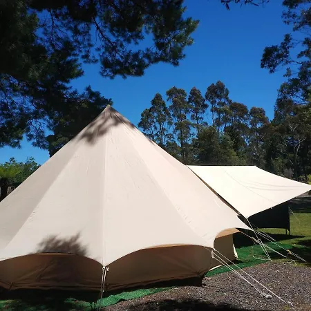 Glamping At Zeehan Bush Camp Exterior photo