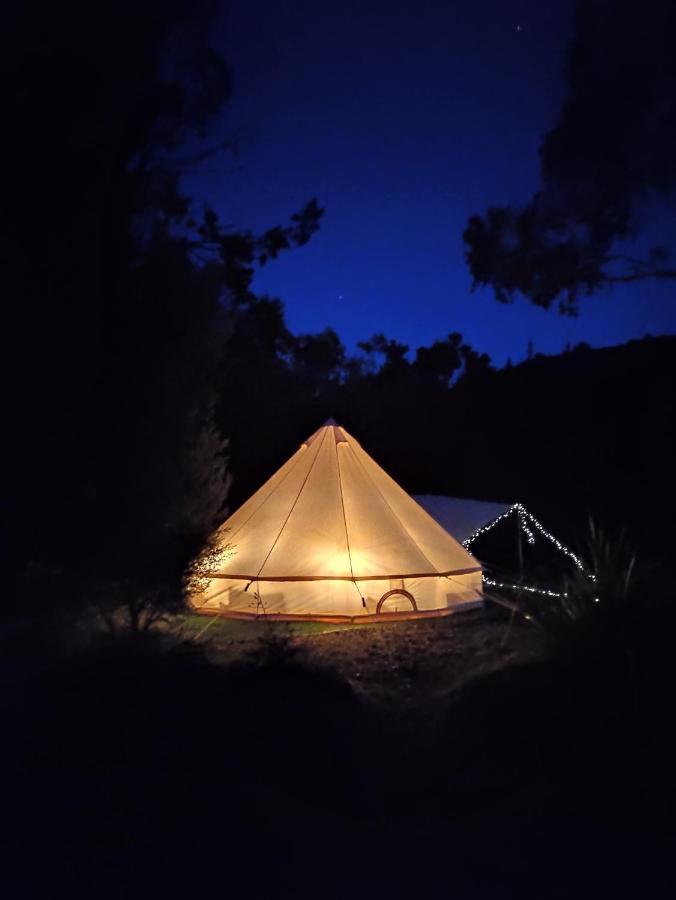 Glamping At Bush Camp