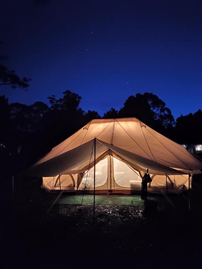 Luxury tent Glamping At Bush Camp Zeehan