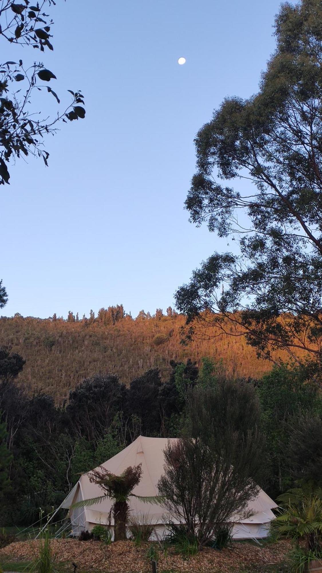 Glamping At Bush Camp * Zeehan