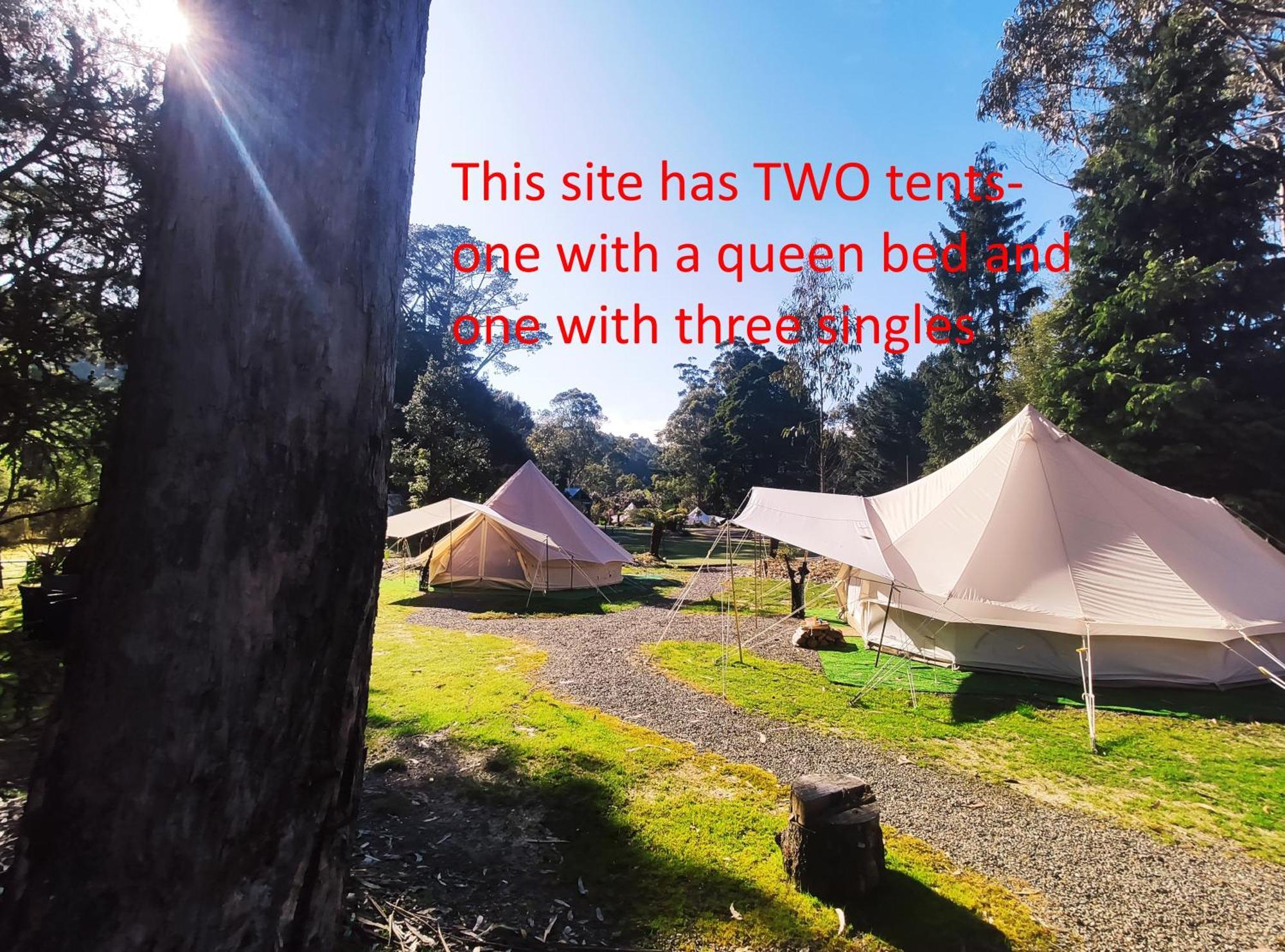 Glamping At Bush Camp Luxury tent *