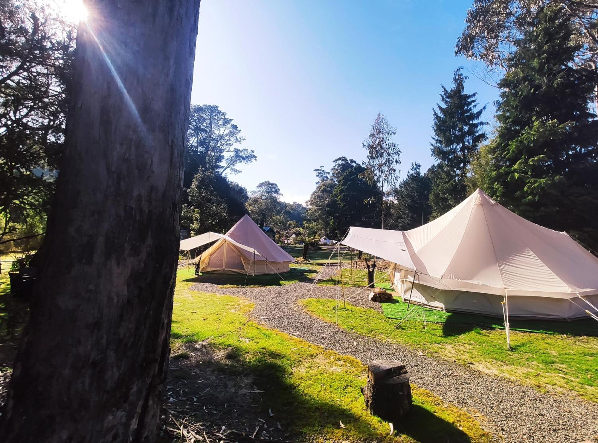 Luxury tent Glamping At Bush Camp Zeehan