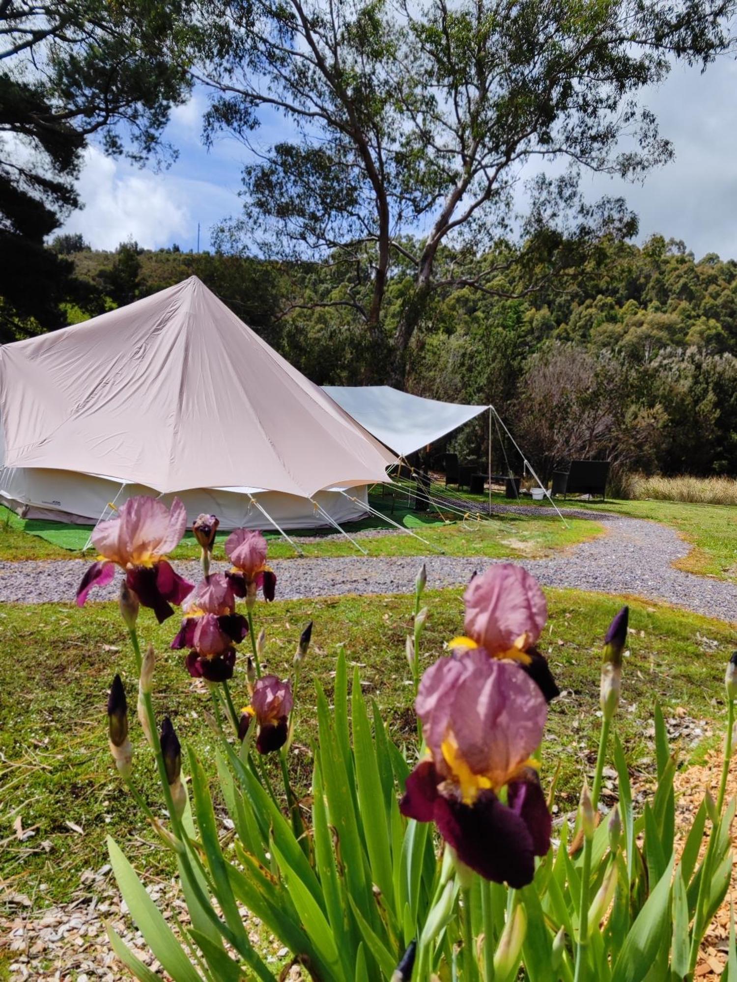 Glamping At Bush Camp Luxury tent