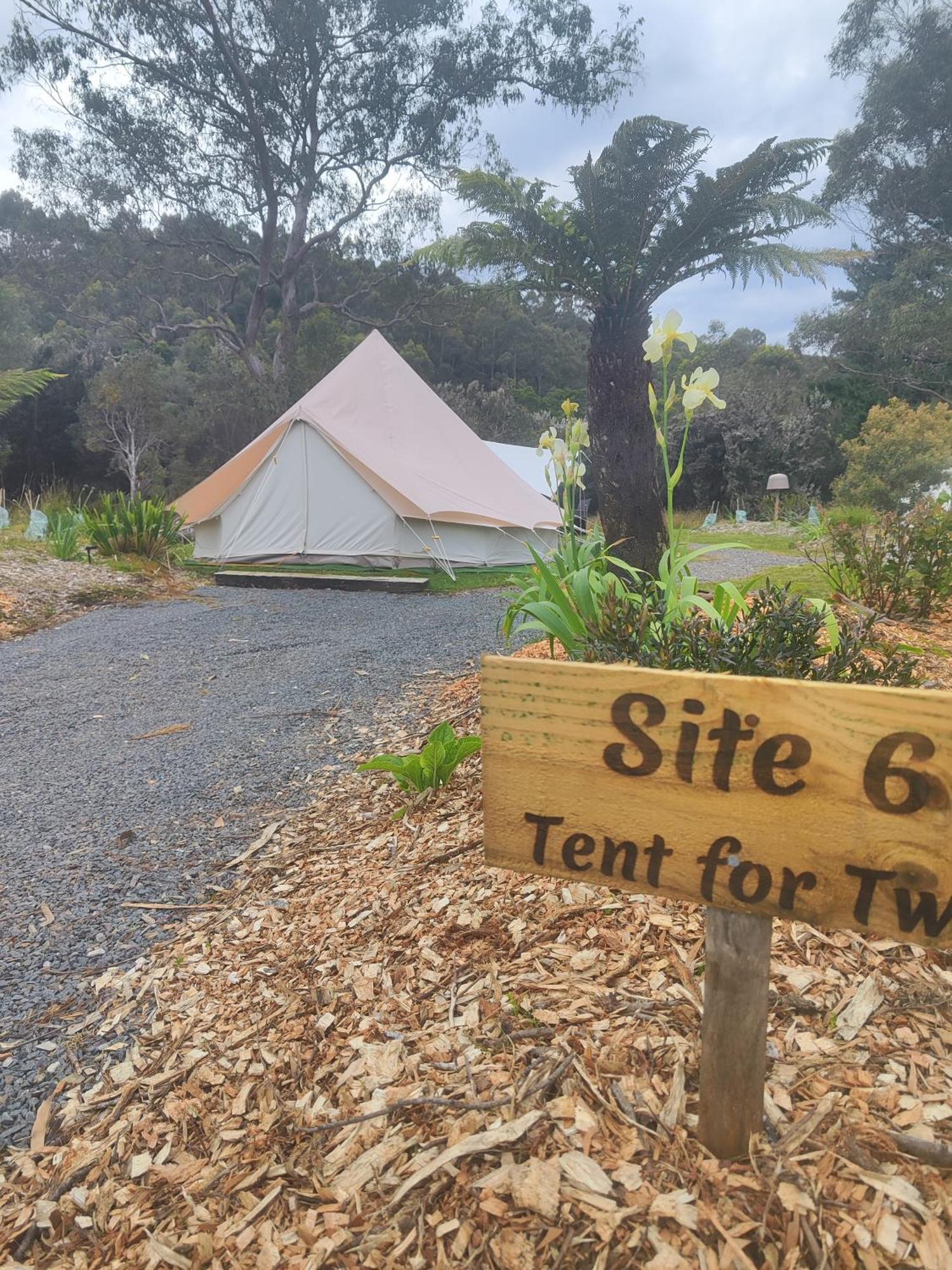 Glamping At Bush Camp Luxury tent