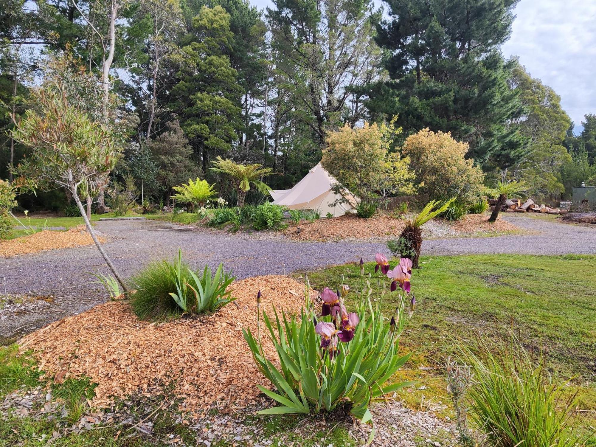 Glamping At Bush Camp *