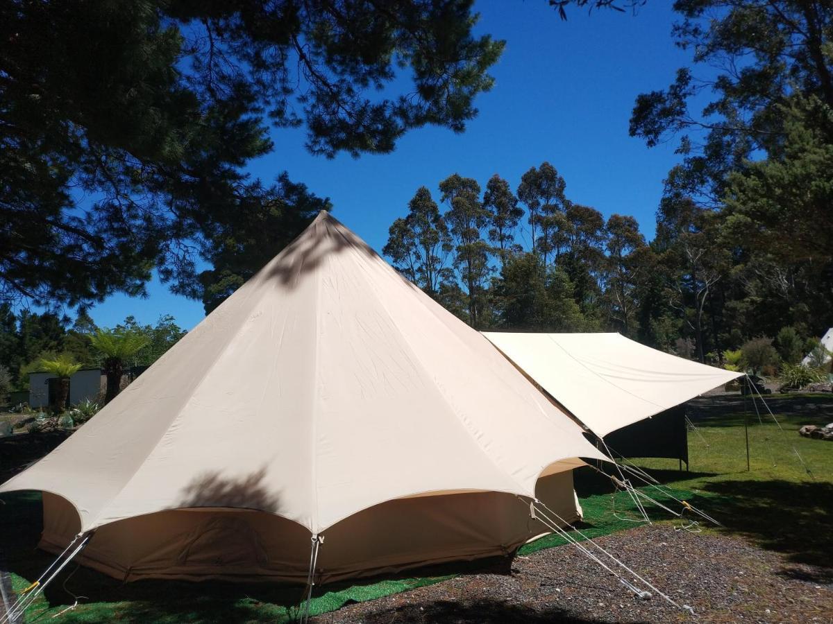 Glamping At Bush Camp