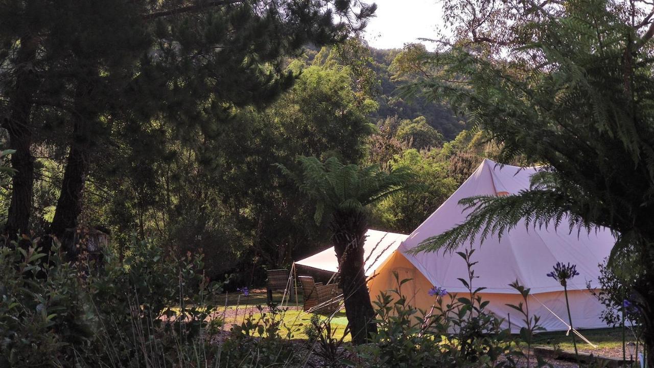 Luxury tent Glamping At Bush Camp Zeehan