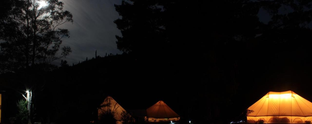 Glamping At Bush Camp Luxury tent *